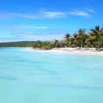 Puerto Plata: Day Trip to Cayo Arena Island by Speedboat — Guided tour and outdoor activity