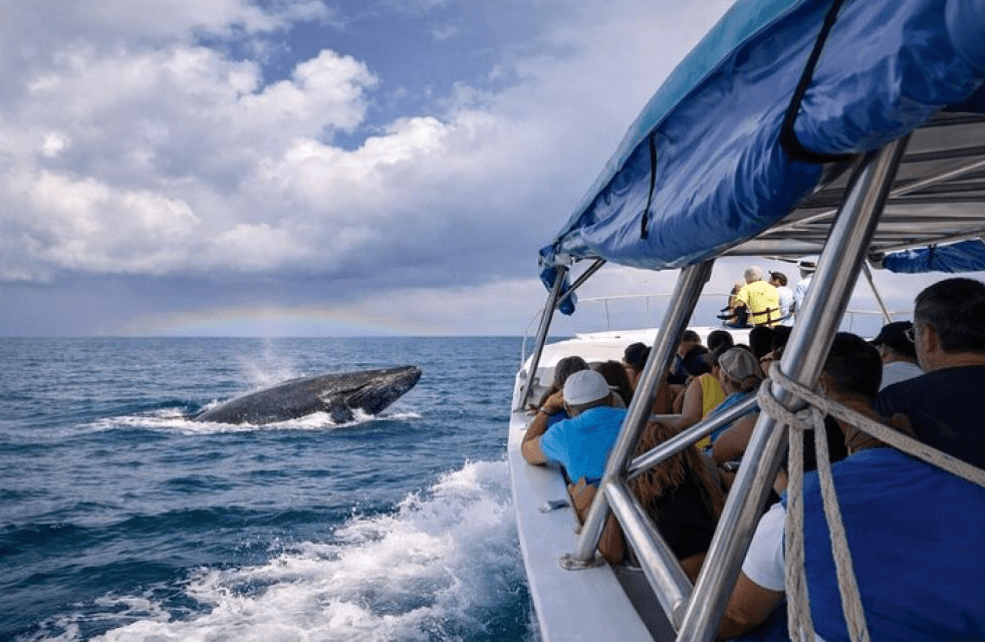 Samaná Nature Trip : un guide de planification de voyage sur plusieurs jours - Tours Miches Guide