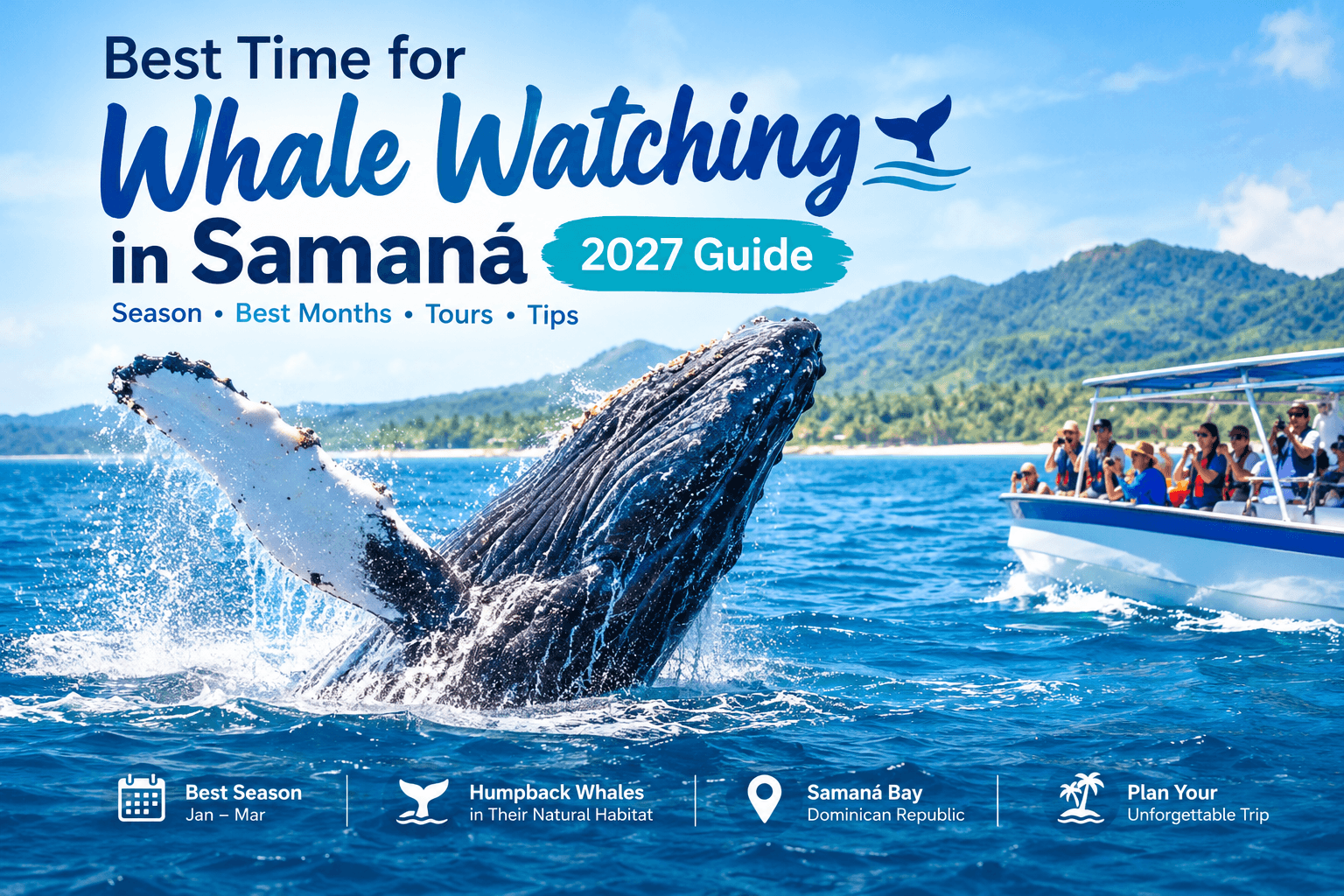 Best Time for Whale Watching in Samaná: 2027 Guide - Tours Miches Guide