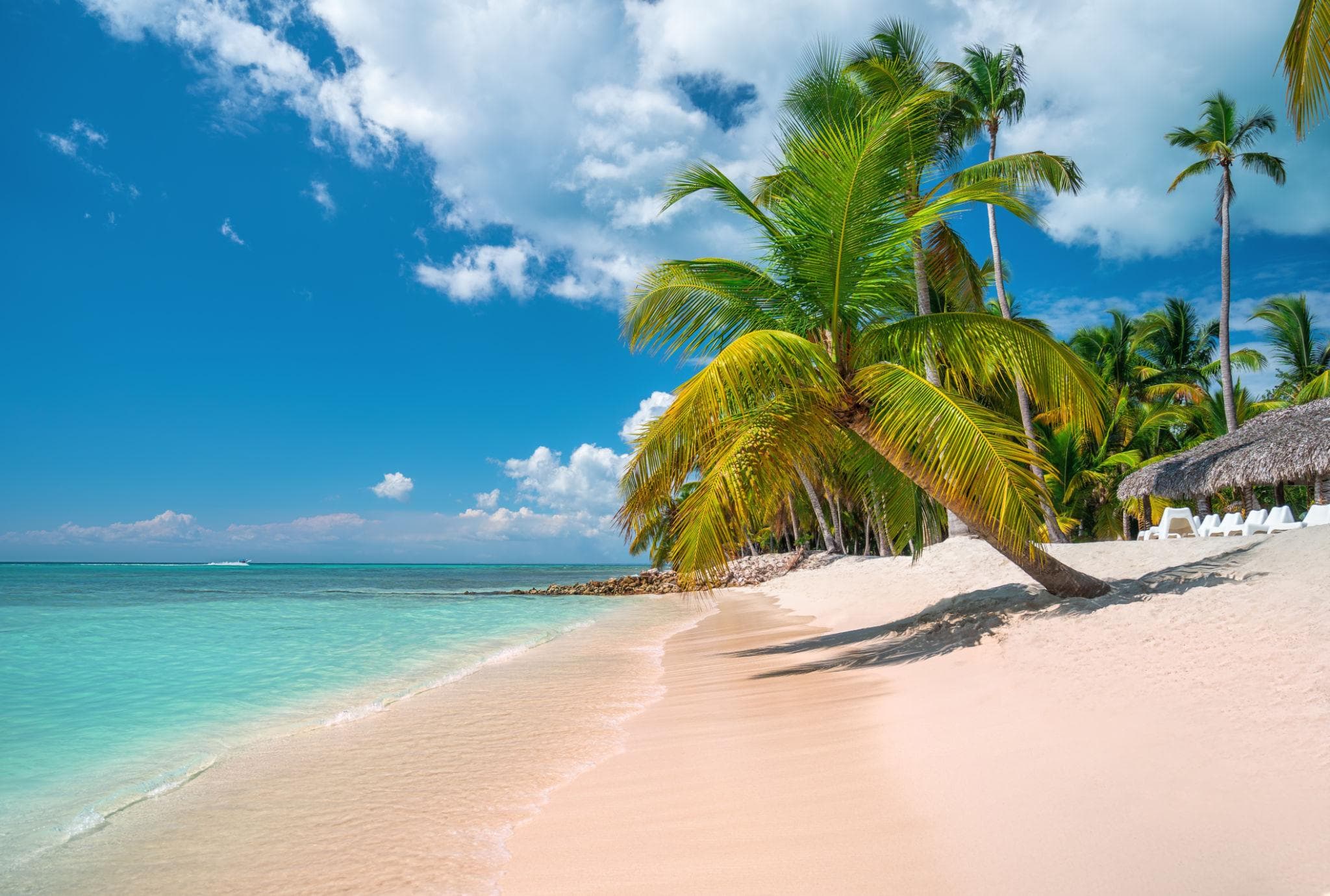 Top Tours in Dominican Republic | Saona Island, Los Haitises & More - Tours Miches Guide