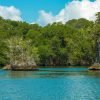 2 Hours Kayak Los Haitises - Image 2