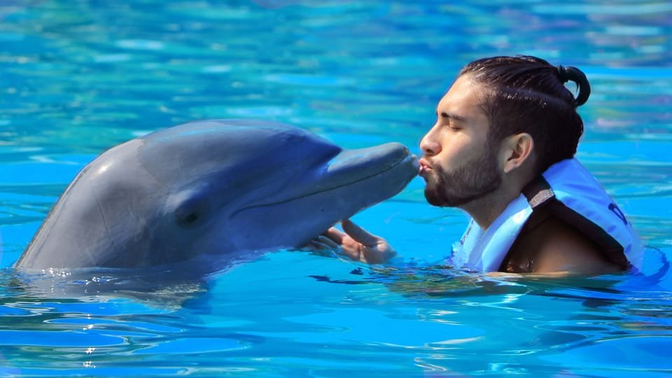 Punta Cana: Dolphin Discovery Swims and Encounters 4 Punta Cana: Dolphin Discovery Swims and Encounters - Imagen 4