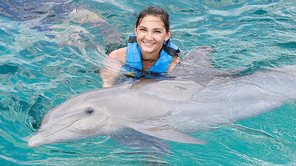 Punta Cana: Dolphin Discovery Swims and Encounters 15 Punta Cana: Dolphin Discovery Swims and Encounters - Imagen 15