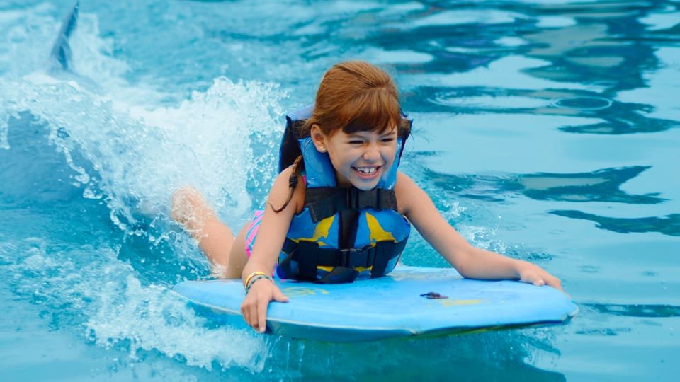 Punta Cana: Dolphin Discovery Swims and Encounters 21 Punta Cana: Dolphin Discovery Swims and Encounters - Imagen 21