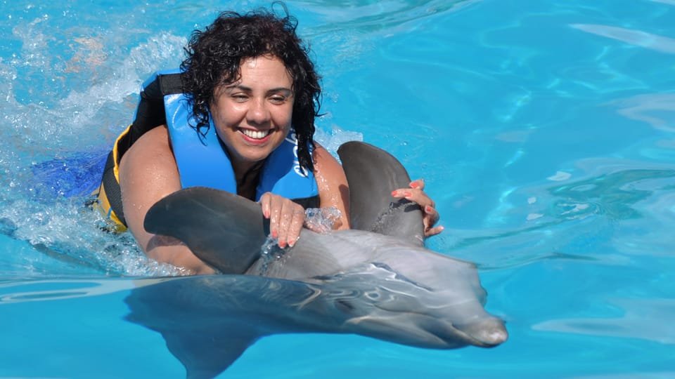 Punta Cana: Dolphin Discovery Swims and Encounters 22 Punta Cana: Dolphin Discovery Swims and Encounters - Imagen 22