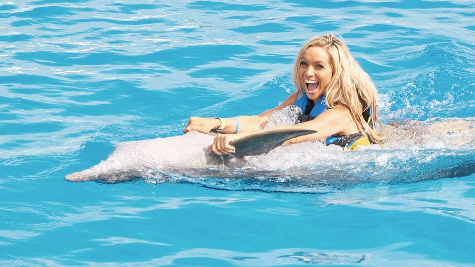 Punta Cana: Dolphin Discovery Swims and Encounters 24 Punta Cana: Dolphin Discovery Swims and Encounters - Imagen 24