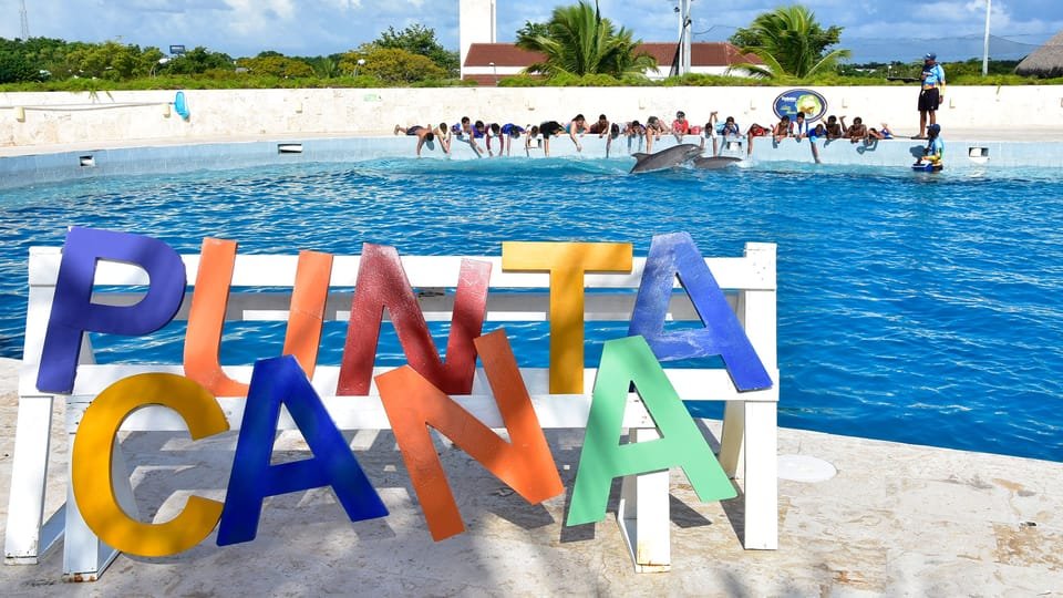 Punta Cana: Dolphin Discovery Swims and Encounters 8 Punta Cana: Dolphin Discovery Swims and Encounters - Imagen 8