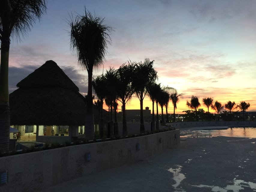 Punta Cana: Dolphin Discovery Swims and Encounters 10 Punta Cana: Dolphin Discovery Swims and Encounters - Imagen 10