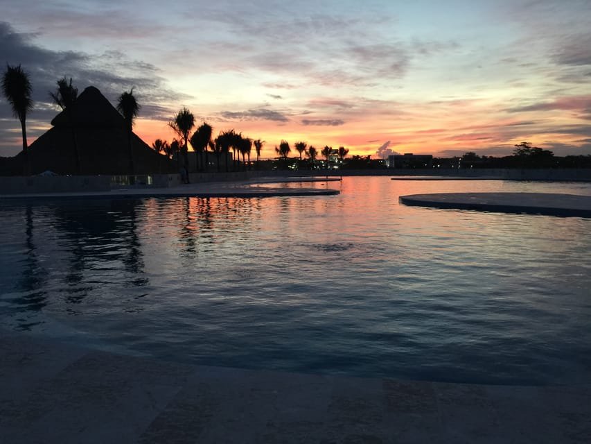 Punta Cana: Dolphin Discovery Swims and Encounters 11 Punta Cana: Dolphin Discovery Swims and Encounters - Imagen 11