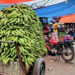Media Luna Miches (Half-Moon) Natural Pool Half - Day Pass and Snorkeling 216 98 18