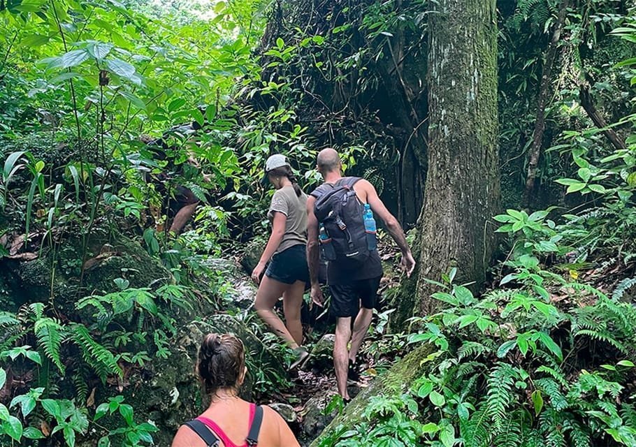 Tour TODO INCLUIDO en Sendero Acuático Cueva de la Virgen 2 Tour TODO INCLUIDO en Sendero Acuático Cueva de la Virgen - Imagen 2